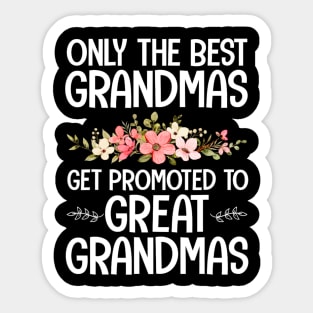 Best Great Grandma Art For Grandma Great Grandmother Sticker